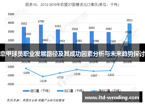 意甲球员职业发展路径及其成功因素分析与未来趋势探讨