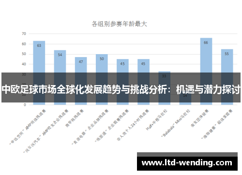 中欧足球市场全球化发展趋势与挑战分析：机遇与潜力探讨