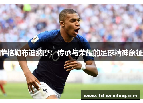 萨格勒布迪纳摩：传承与荣耀的足球精神象征