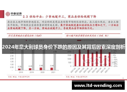 2024年意大利球员身价下跌的原因及其背后因素深度剖析