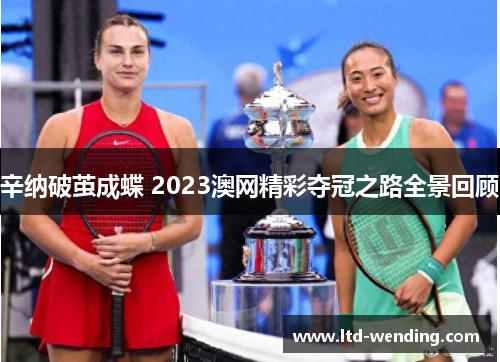 辛纳破茧成蝶 2023澳网精彩夺冠之路全景回顾