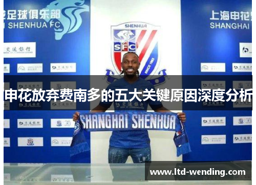 申花放弃费南多的五大关键原因深度分析