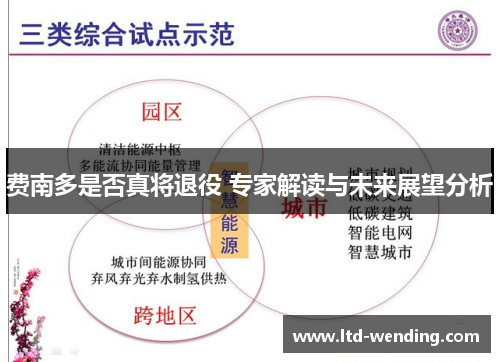 费南多是否真将退役 专家解读与未来展望分析