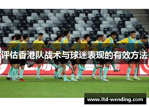 评估香港队战术与球迷表现的有效方法