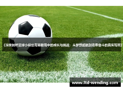《深度剖析足球小将世青篇剧情中的成长与挑战：从梦想起航到青春奋斗的真实写照》